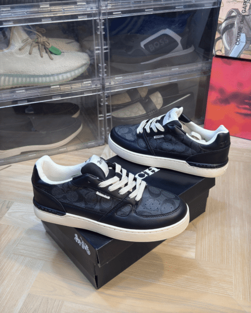 Shop Coach Citysole Court Sneaker Shoes - 7A First Copy Shoe