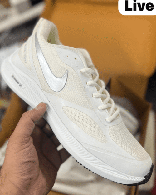 Men Nike Guide 10 White Running Shoes - 7A First Copy